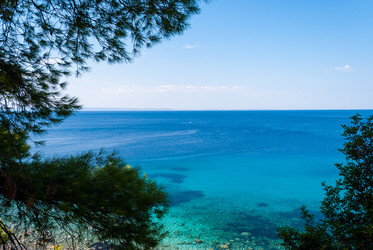 Similar image 21243019