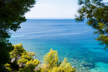 Similar image 21243021