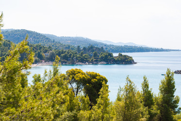 Similar image 21243022