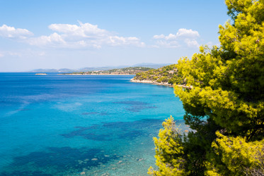 Similar image 21243023