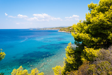 Similar image 21243024