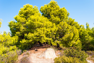 Similar image 21243029