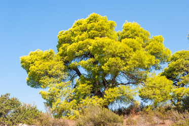 Similar image 21243030