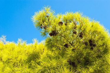 Similar image 21243033