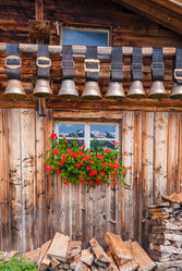 Similar image 21243039