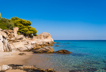 Similar image 21220490