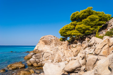 Similar image 21220492