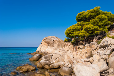 Similar image 21220493