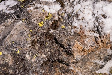 Similar image 21220593