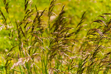 Similar image 21220596