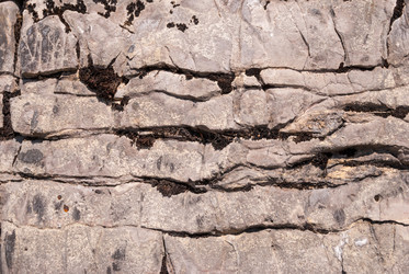 Similar image 21220598