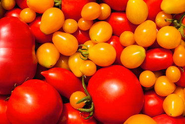 Similar image 21235673