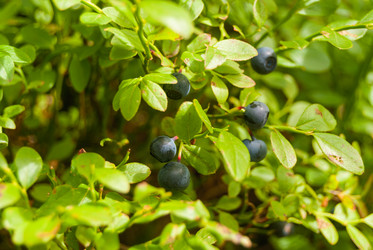 Similar image 21235818