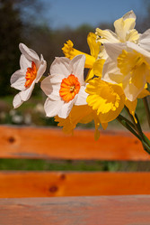 Similar image 21235829