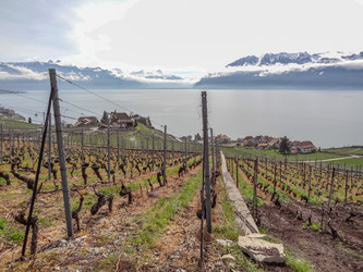 Similar image 21242874