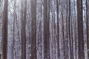 Similar image 21243052