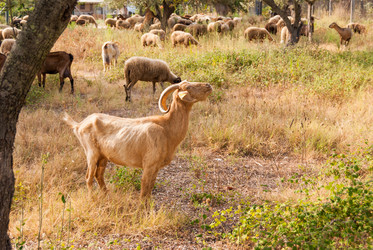 Similar image 21220496