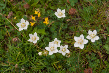 Similar image 21220600