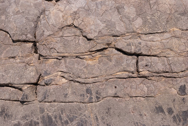 Similar image 21235682