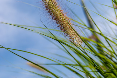 Similar image 21235842