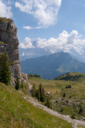 Similar image 21235844