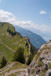 Similar image 21235846