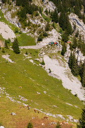 Similar image 21243062