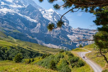 Similar image 21243064