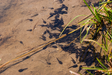 Similar image 21243065