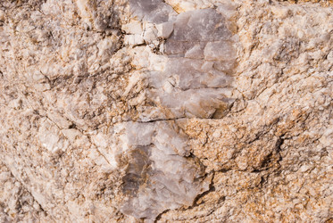 Similar image 21243081