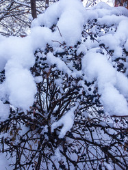 Similar image 21243084