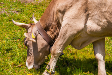 Similar image 21243097