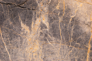 Similar image 21243100