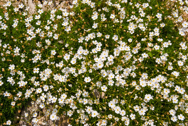 Similar image 21235684