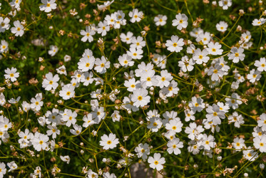 Similar image 21235685