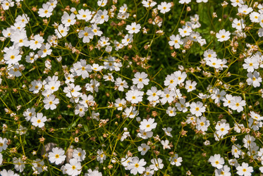 Similar image 21235686