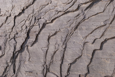 Similar image 21235688