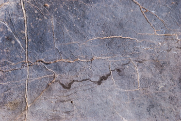 Similar image 21235848