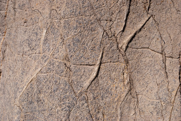 Similar image 21235854