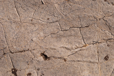 Similar image 21235856