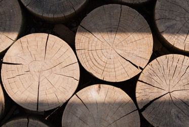 Similar image 21235857