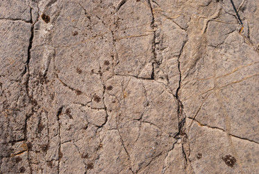 Similar image 21235858