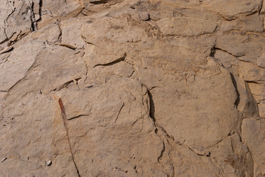 Similar image 21235859