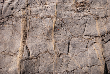 Similar image 21235860