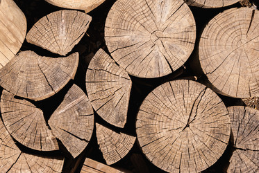 Similar image 21235861