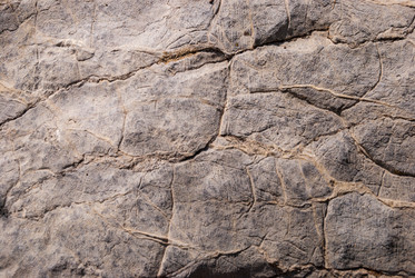 Similar image 21235862