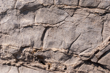 Similar image 21235864