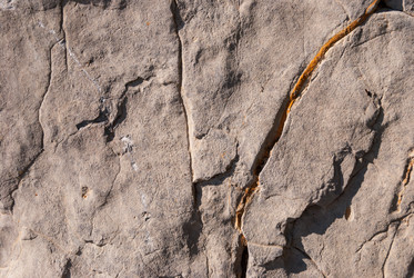 Similar image 21235868