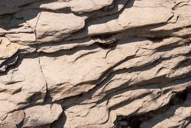 Similar image 21242879