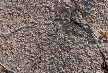 Similar image 21243105